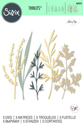 Sizzix - Rose Woodland Stems Thinlits Die by Olivia