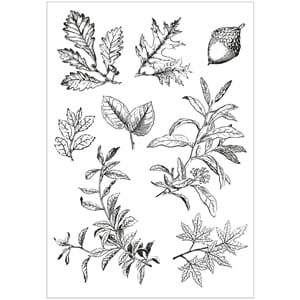 Sizzix - Forever Leaves Framelits Die w/Stamps