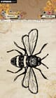 Studio Light - Large Bee Sweet Bee Memories Clear Stamp