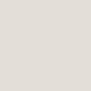 My Colors: Almost Gray - Classic 80lb Cover Weight Cardstock