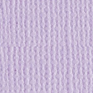 Bazzill: Canvas - Heidi