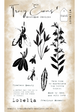 Tracy Evans - Lobelia A6 Stamp