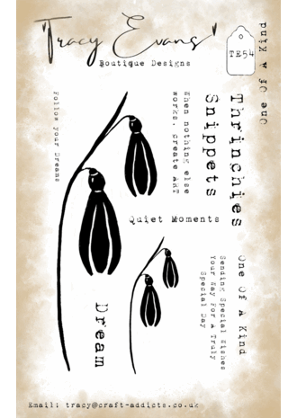 Tracy Evans - One Of A Kind A7 Stamp