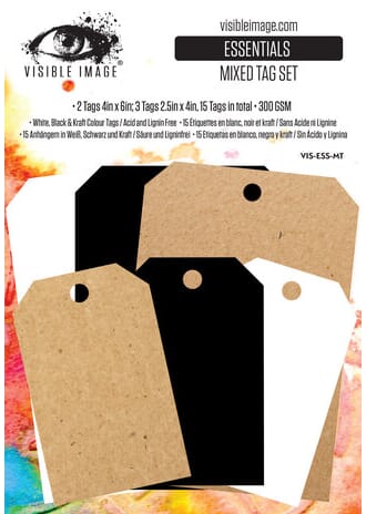 Visible Image - Tomorrow's Memories Essentials Mixed Tag Set