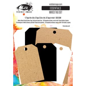 Visible Image - Tomorrow's Memories Essentials Mixed Tag Set