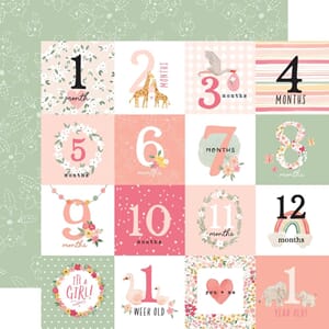 Echo Park: Milestone Journaling Cards  - Welcome Baby Girl