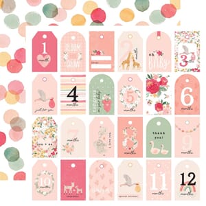 Echo Park: Girl Tags - Welcome Baby Girl