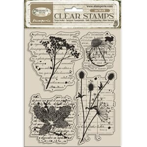Stamperia - Herbarium Silvae Clear Stamp Botanic