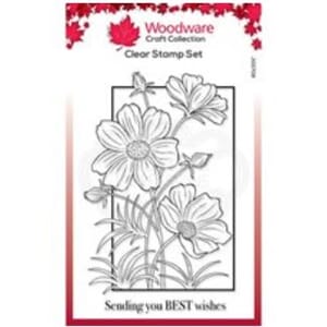 Woodware: Cosmos Collection Clear Stamps, 10x15 cm