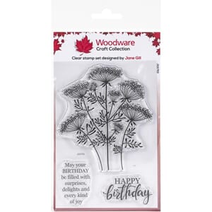 Woodware: Queen Anne's Lace Clear Stamps, 10x15 cm
